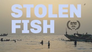 Stolen Fish, seleccionada para el Sheffield Doc Fest